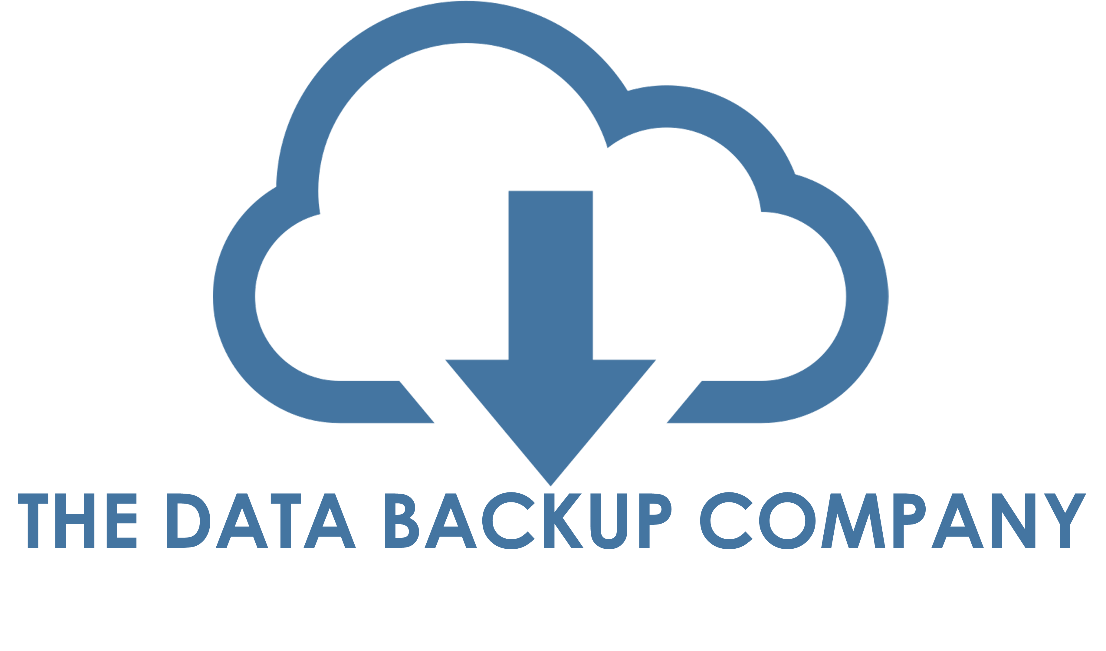 The Data Backup Company